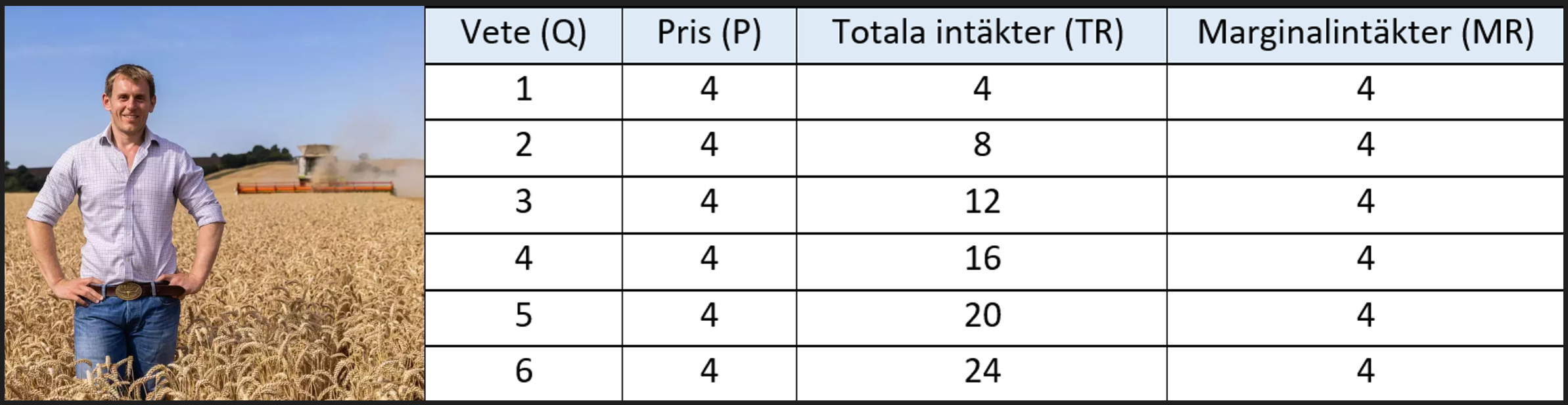 Marginal revenue (MR) is identical to the price (P) under perfect competition.